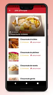 French Cuisine Recipes and Food android App screenshot 5